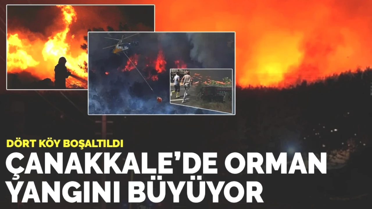 Çanakkale'de Tüm Gözler Orman Yangınında! Dört Köy Acilen Boşaltıldı