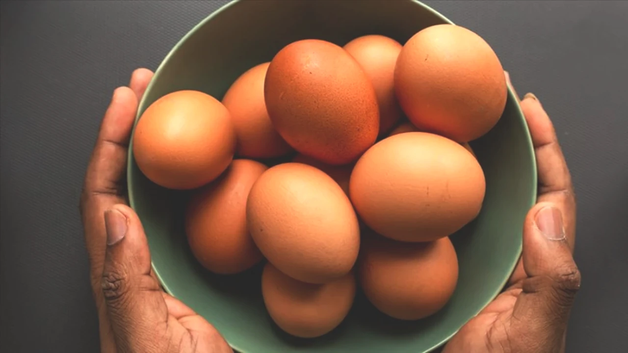 Günde Sadece 1 Yumurta Yemek! Sağlığınıza 7 Büyük Faydasıyla Tanışın!